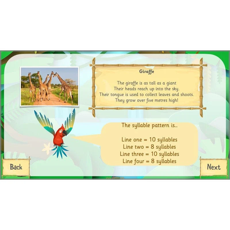 Rumble in the Jungle - Image 8