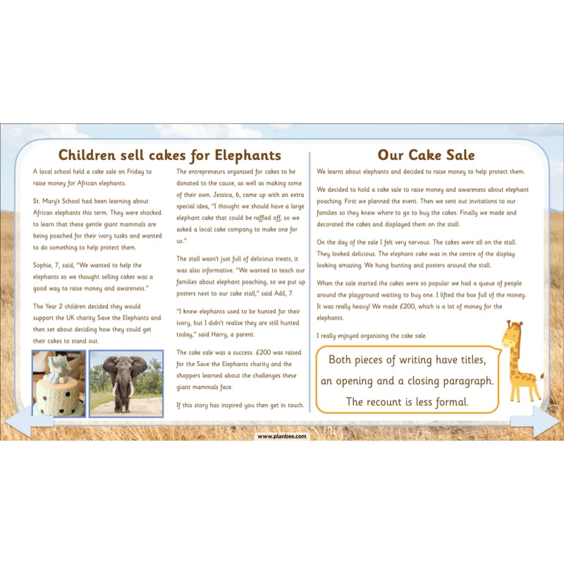 Safari Adventures - Image 12