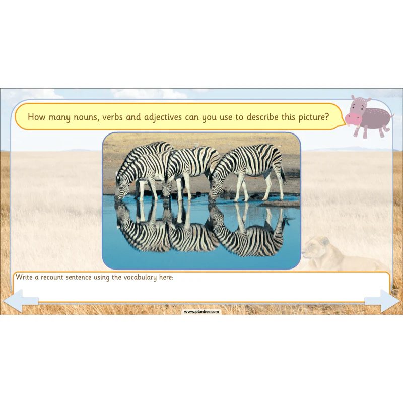 Safari Adventures - Image 14