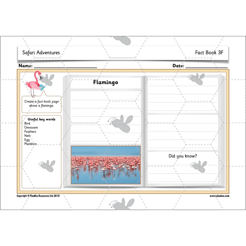 Safari Adventures - Image 17