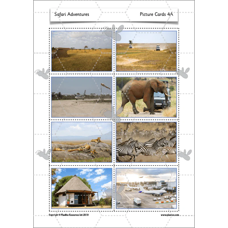 Safari Adventures - Image 18