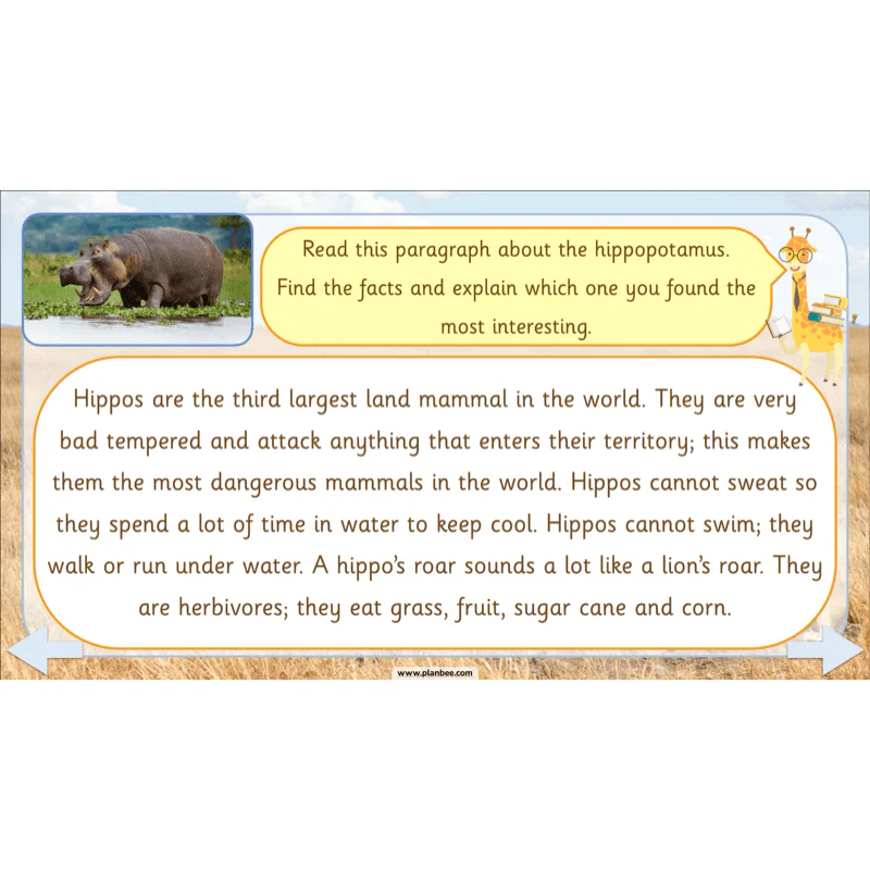 Safari Adventures - Image 33
