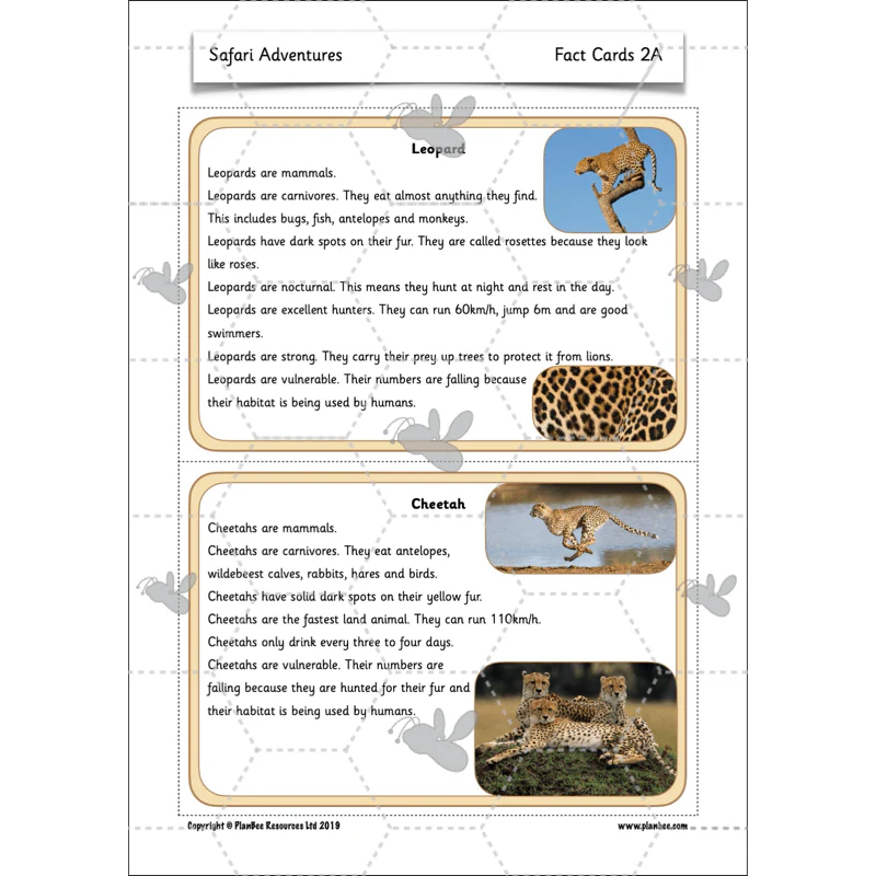 Safari Adventures - Image 37