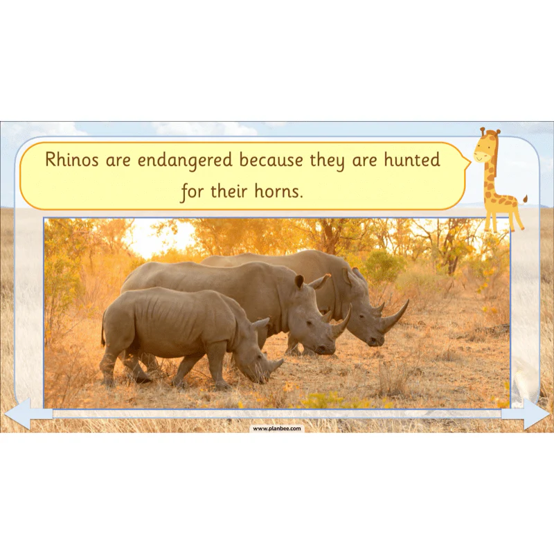 Safari Adventures - Image 41