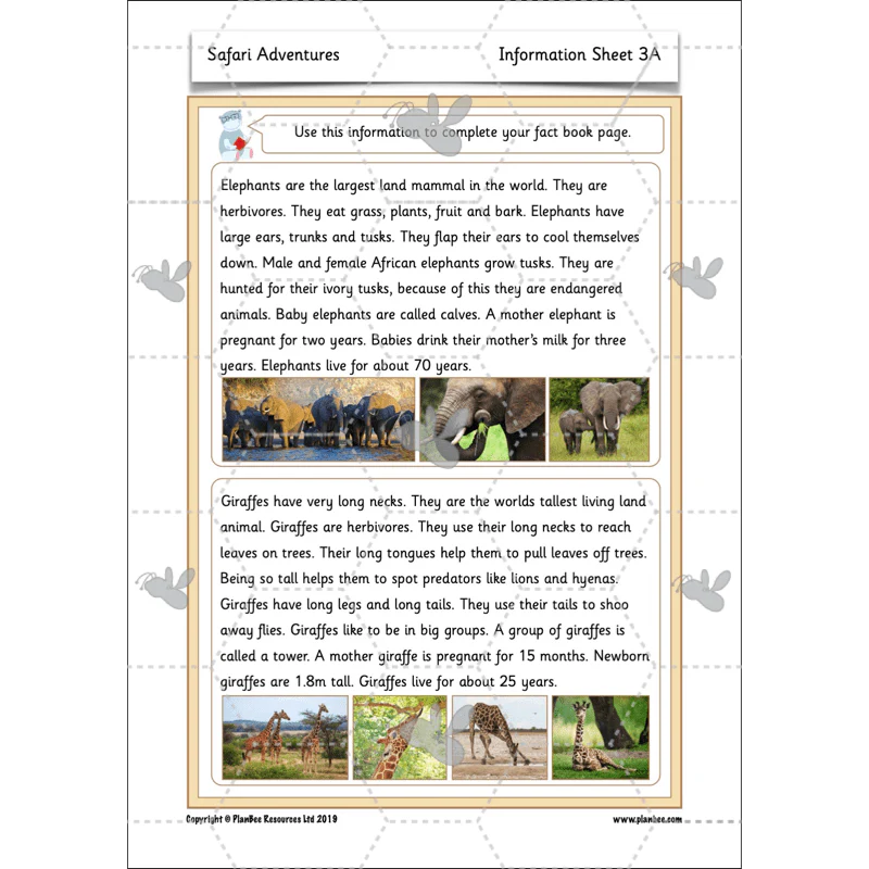 Safari Adventures - Image 44