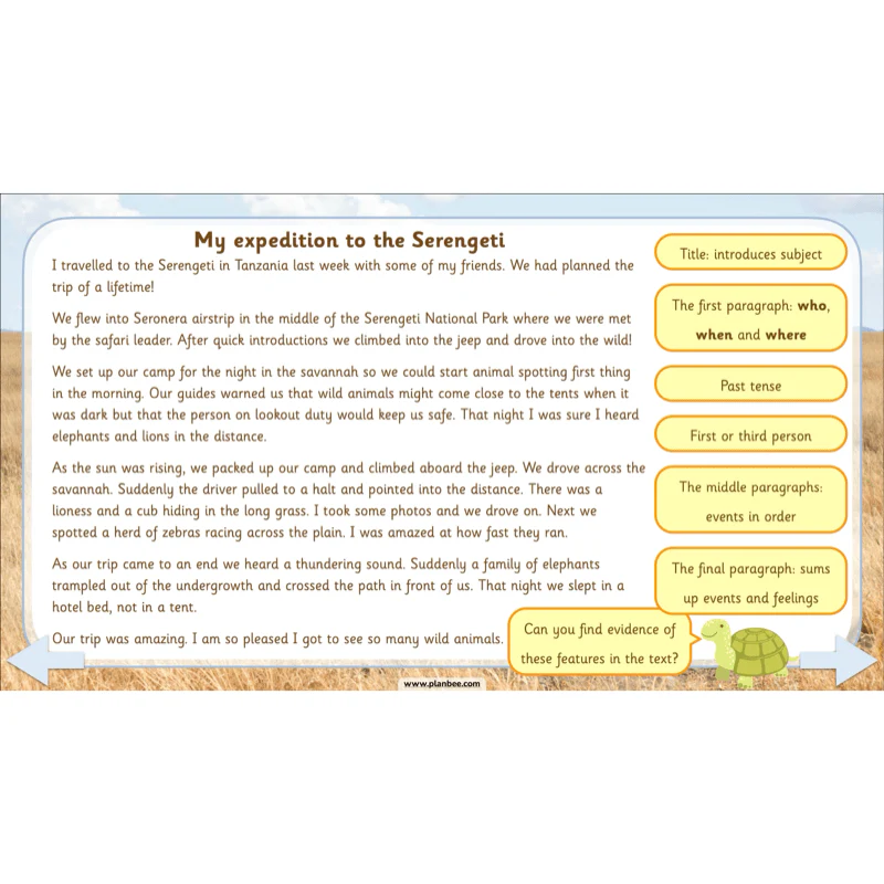 Safari Adventures - Image 49