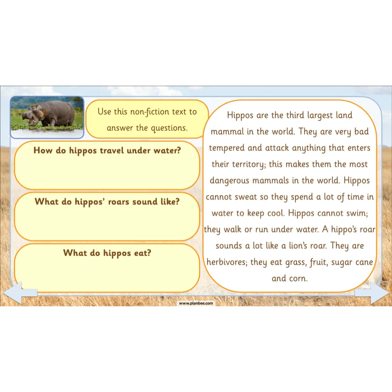 Safari Adventures - Image 6