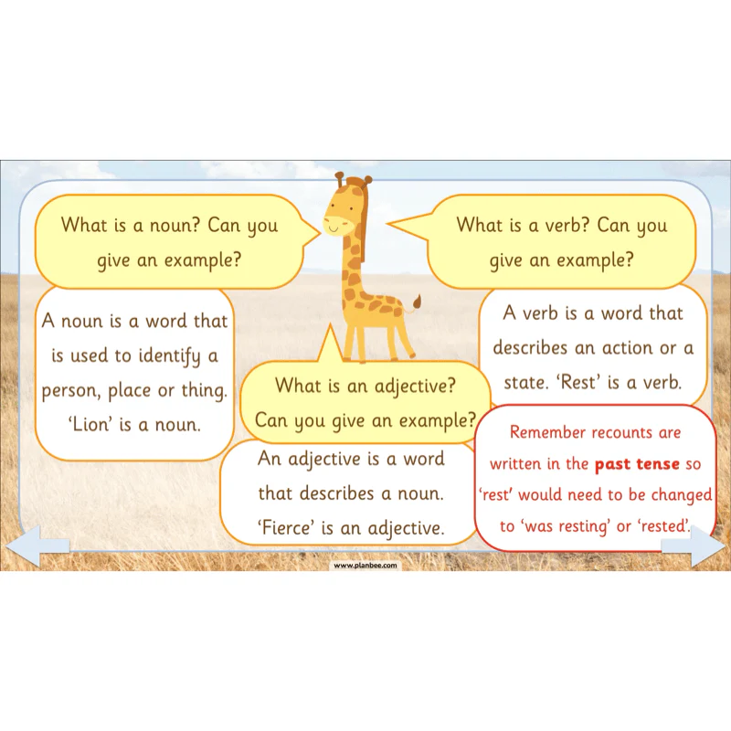 Safari Adventures - Image 65