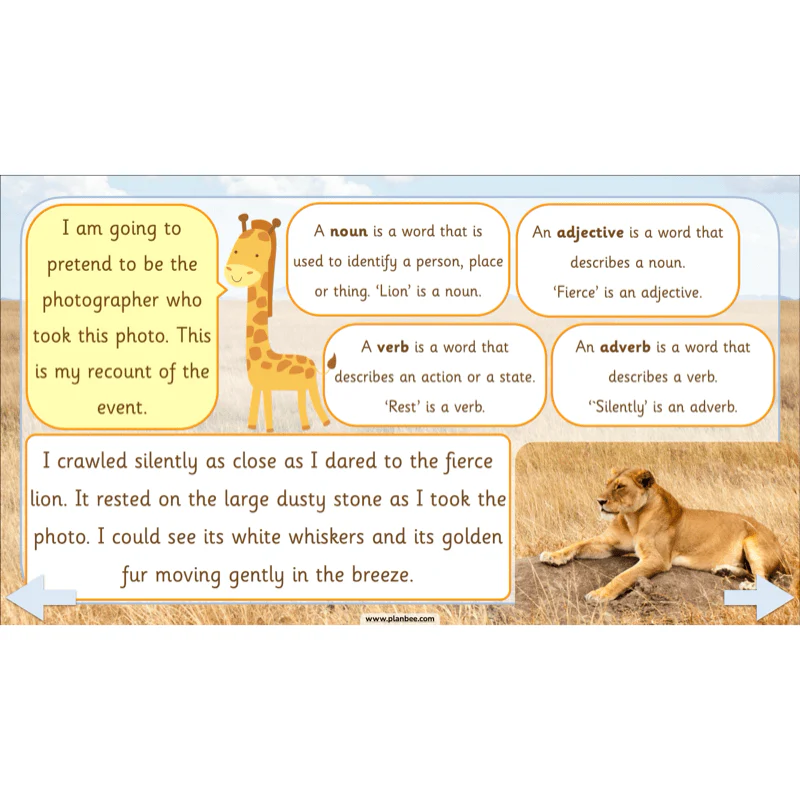 Safari Adventures - Image 66
