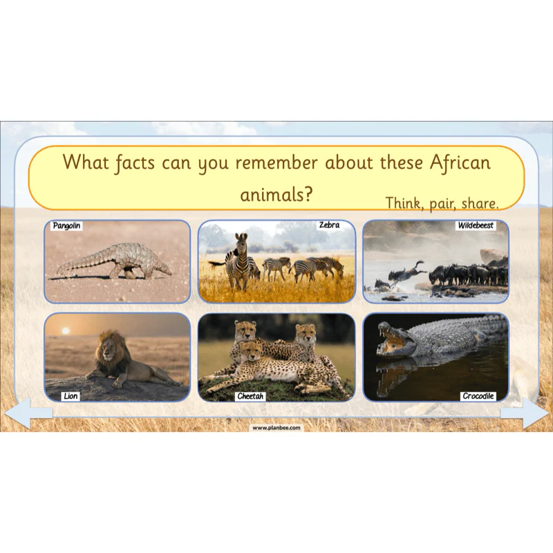 Safari Adventures - Image 7