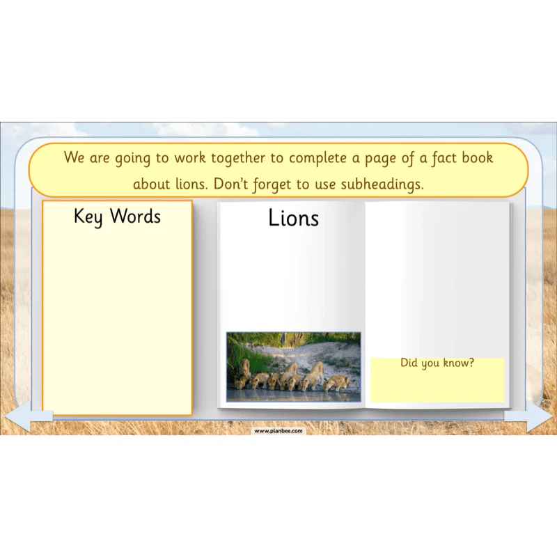 Safari Adventures - Image 8