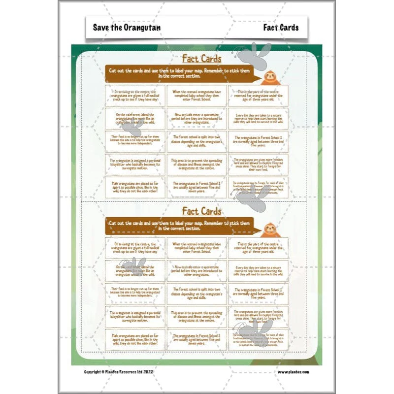 Save the Orangutan - Image 15