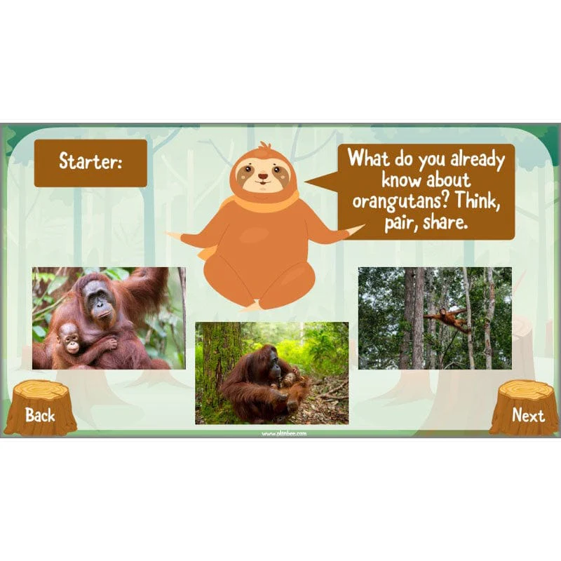 Save the Orangutan - Image 21