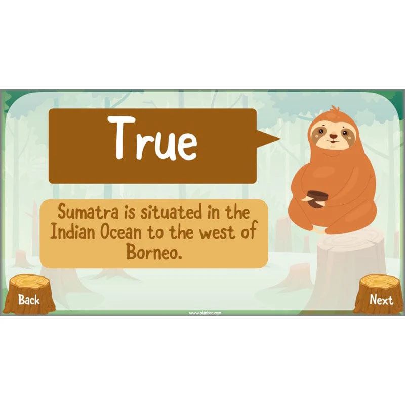 Save the Orangutan - Image 38