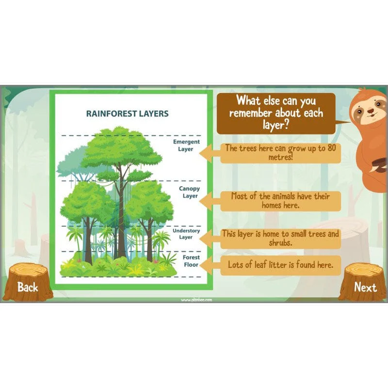 Save the Orangutan - Image 45