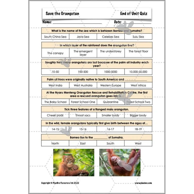Save the Orangutan - Image 70