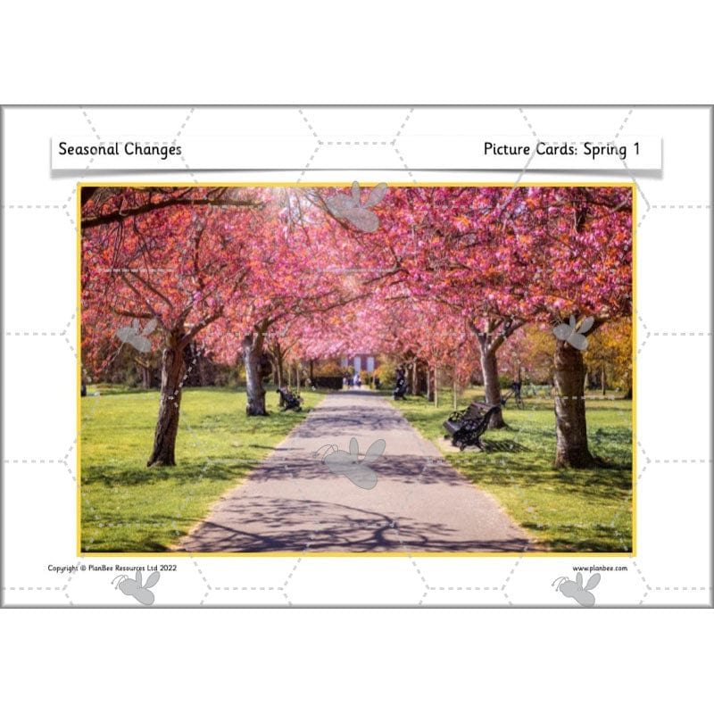 Seasonal Changes - Image 11
