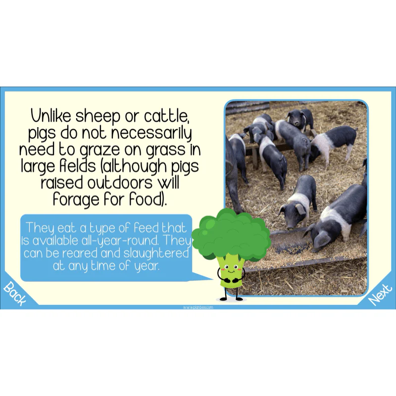 Seasonal Food - Image 10