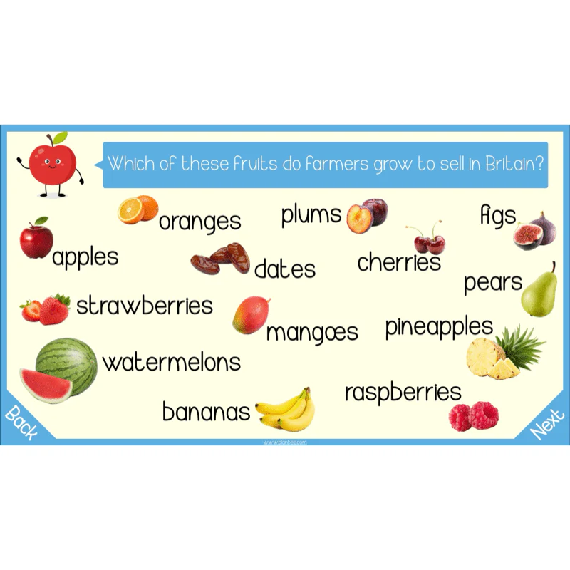 Seasonal Food - Image 32
