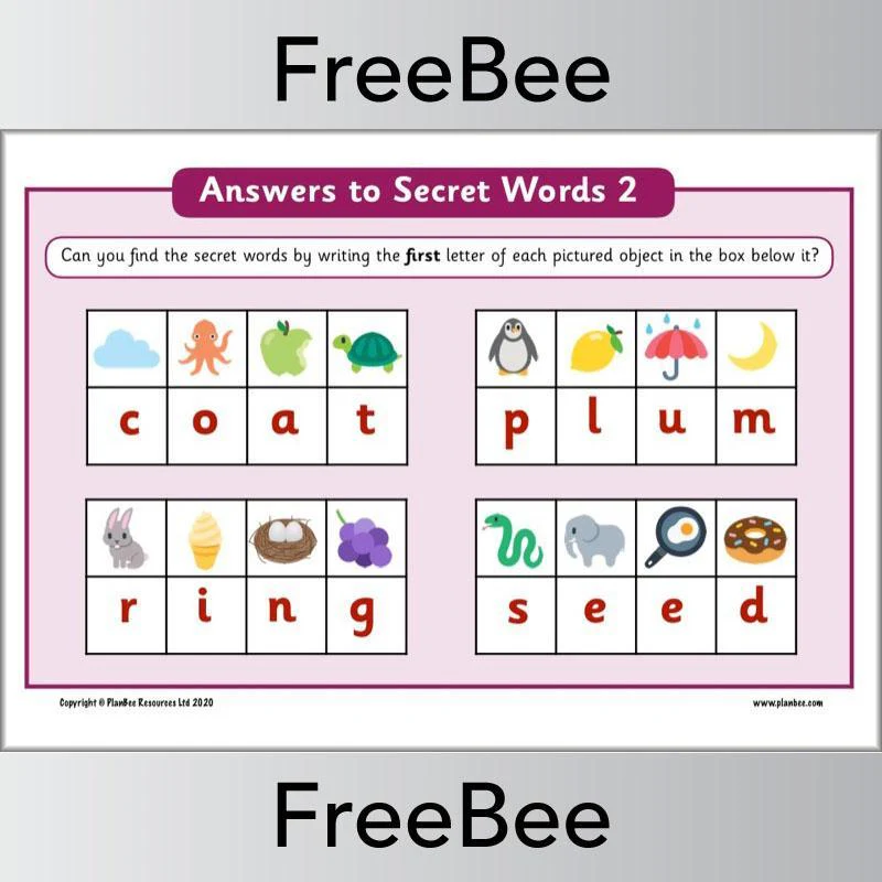 Secret Words KS1 Puzzle - Image 4
