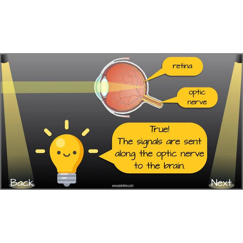 Seeing Light - Image 52
