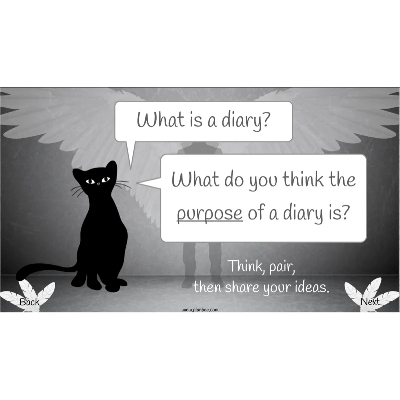 Skellig: Diary Entries - Image 3