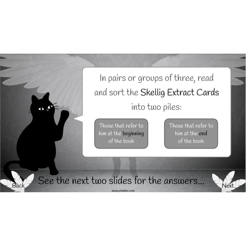 Skellig: Narrative - Image 4