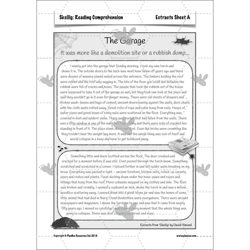 Skellig: Reading Comprehension - Image 17