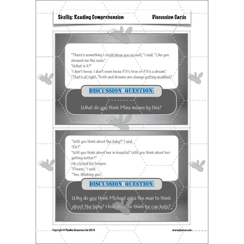 Skellig: Reading Comprehension - Image 46