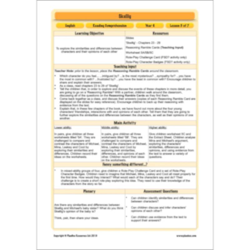 Skellig: Reading Comprehension - Image 65