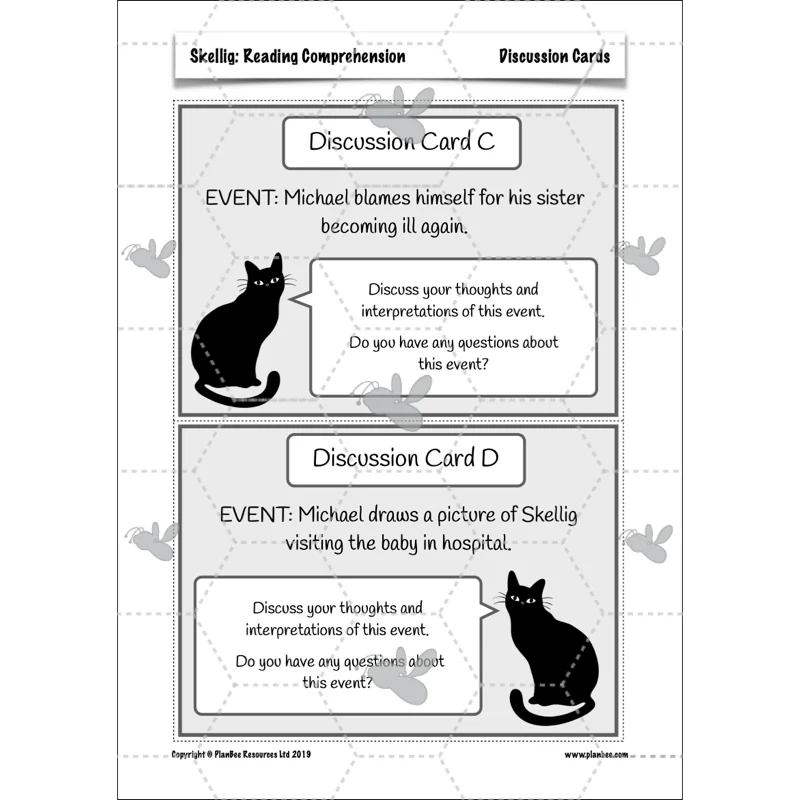 Skellig: Reading Comprehension - Image 70