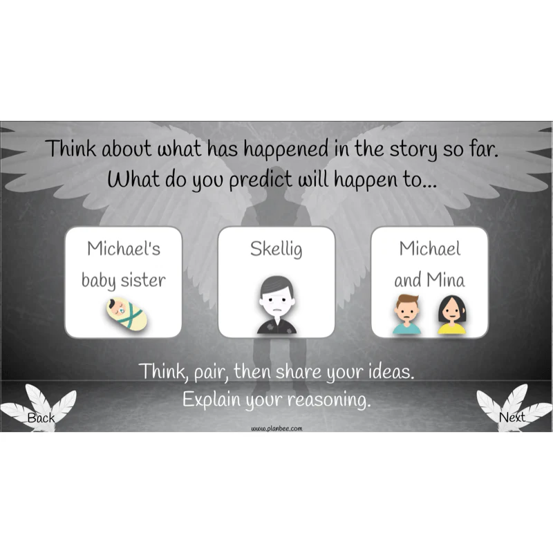 Skellig: Reading Comprehension - Image 74