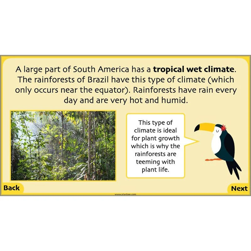 South America - Image 6