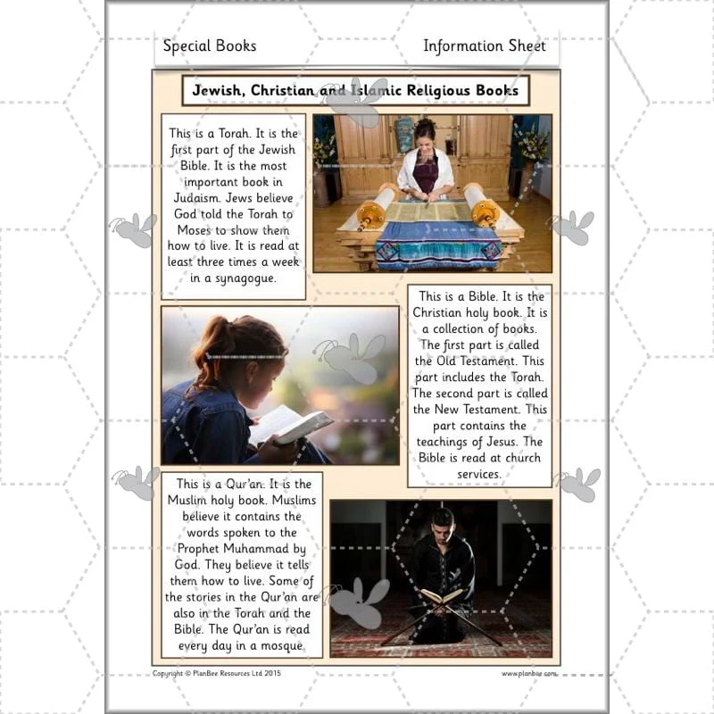Special Books - Image 14
