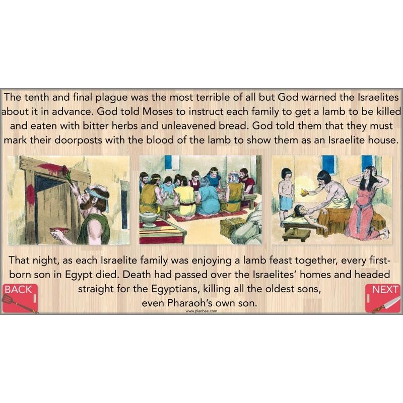 Special Foods - Image 12