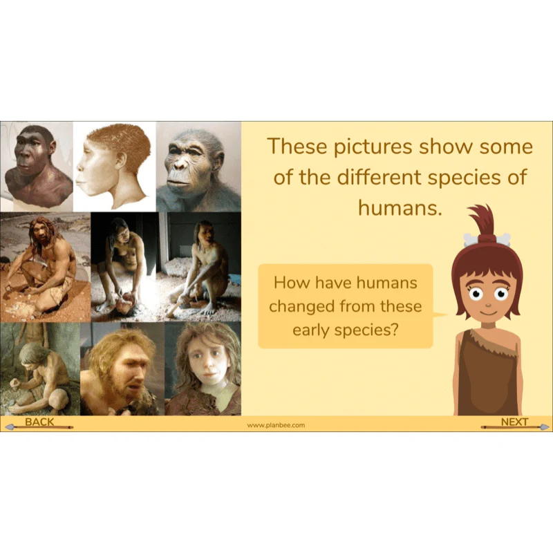 Stone Age to Iron Age - Image 37