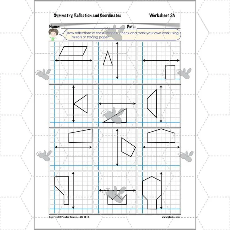 Symmetry, Reflection and Coordinates - Image 17