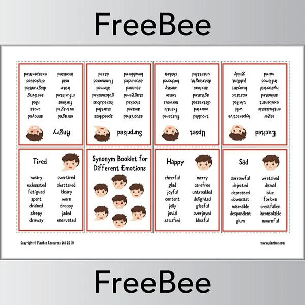 Synonym Booklet of Emotions