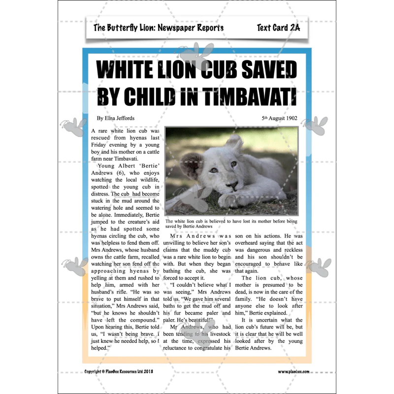 The Butterfly Lion: Newspaper Reports - Image 29
