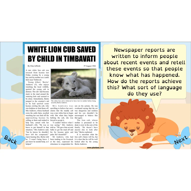 The Butterfly Lion: Newspaper Reports - Image 3