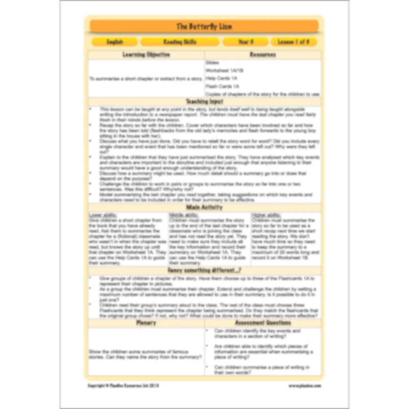 FREE Mini-scheme: The Butterfly Lion: Reading Skills - Image 12