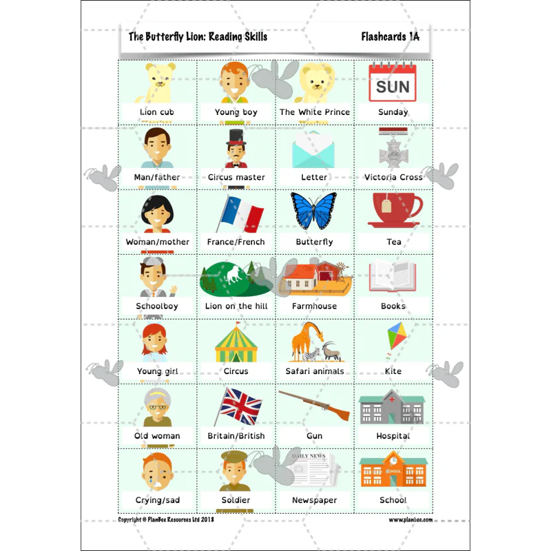 FREE Mini-scheme: The Butterfly Lion: Reading Skills - Image 20