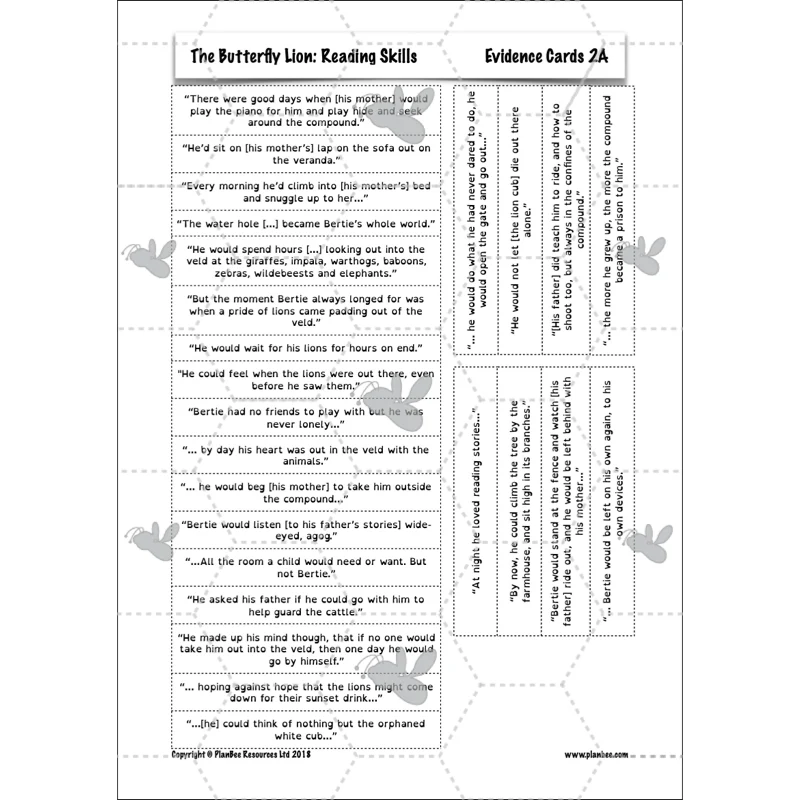 FREE Mini-scheme: The Butterfly Lion: Reading Skills - Image 28