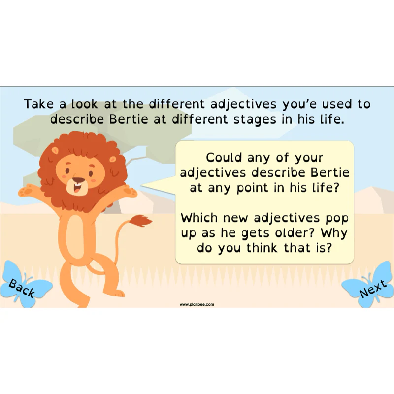 FREE Mini-scheme: The Butterfly Lion: Reading Skills - Image 32