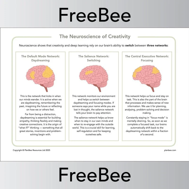 The Creative Brain Resource Pack