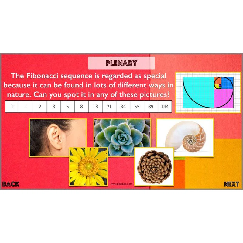 The Fibonacci Sequence - Image 22