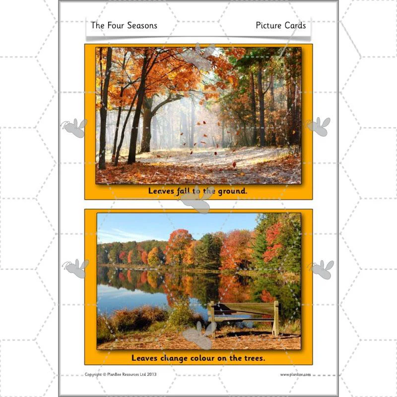 The Four Seasons - Image 14