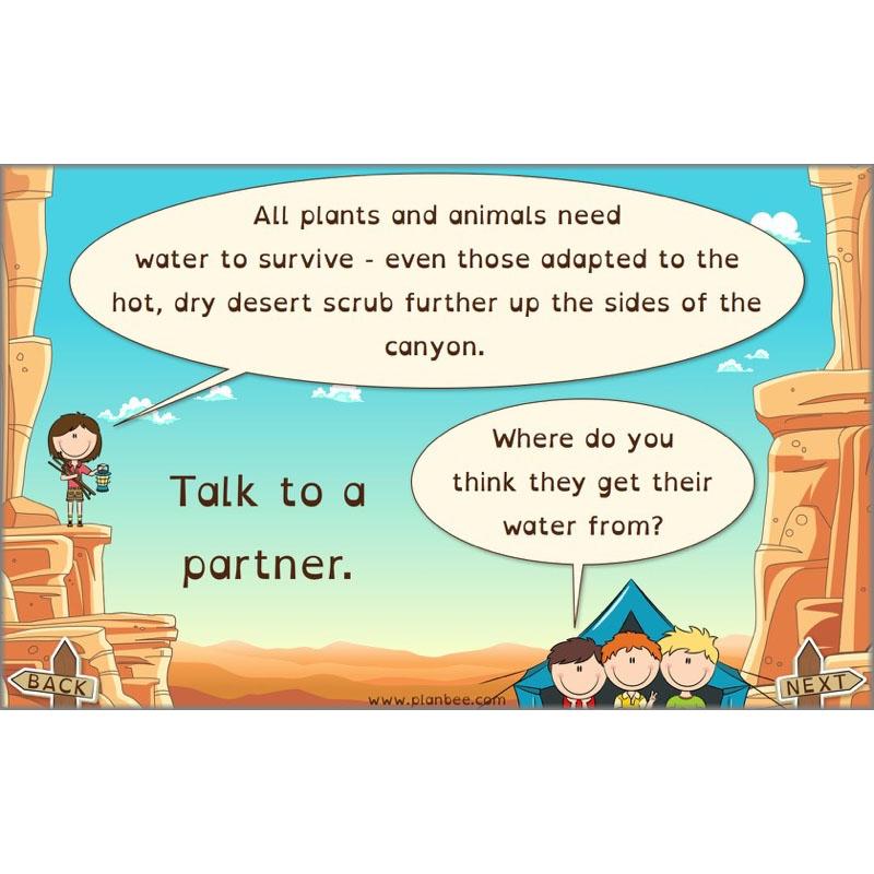 The Grand Canyon - Image 11