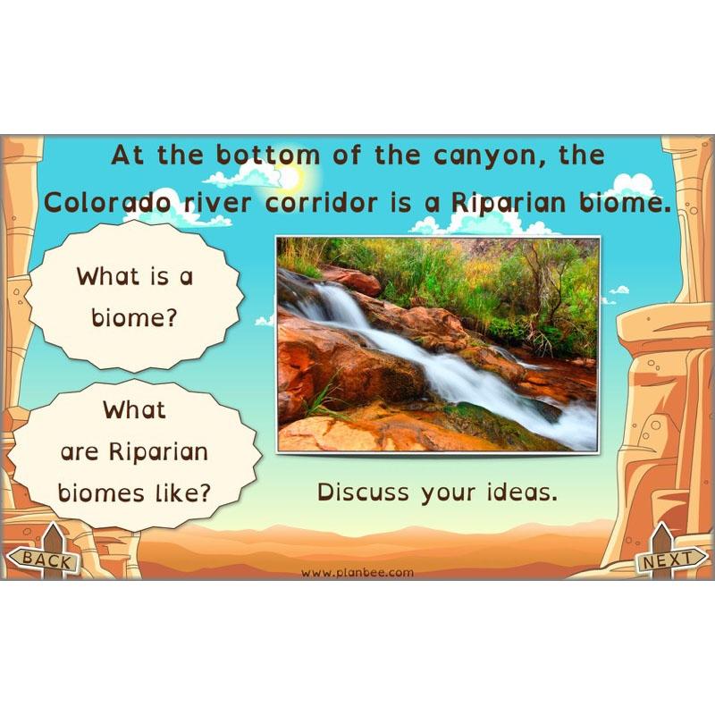 The Grand Canyon - Image 3