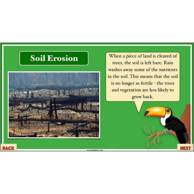 The Great Kapok Tree: Persuasive Writing - Image 40